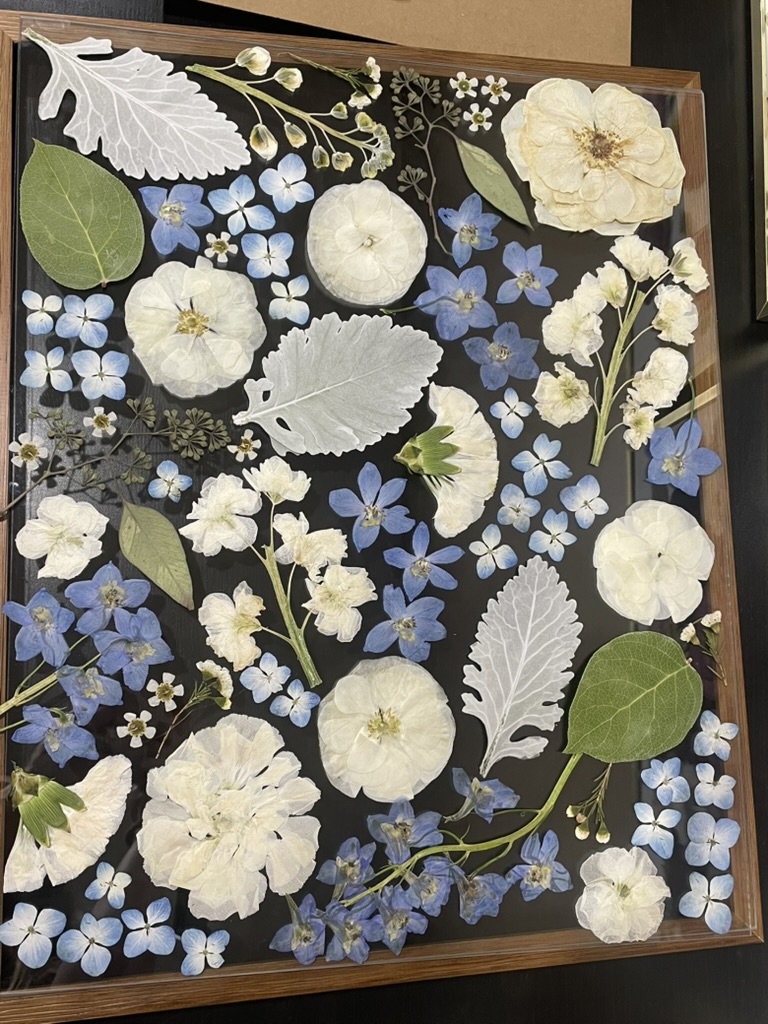 White and blue pressed flower arrangement on dark background